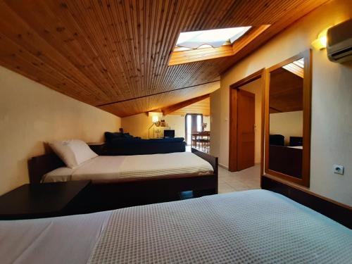 佩科霍里Hotel Flesvos的一间卧室设有两张床和天窗