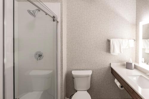 哥伦布Holiday Inn Express & Suites - Columbus - Worthington, an IHG Hotel的带淋浴、卫生间和盥洗盆的浴室
