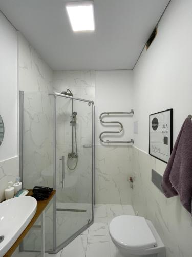 阿拉木图Mini cozy corner #1的带淋浴、卫生间和盥洗盆的浴室