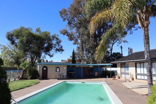 巴尔拉纳德卡普里汽车旅馆的棕榈树屋前的游泳池