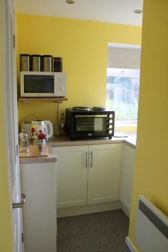 WestcottThe Garden Room Westcott的厨房配有微波炉、烤箱和微波炉。