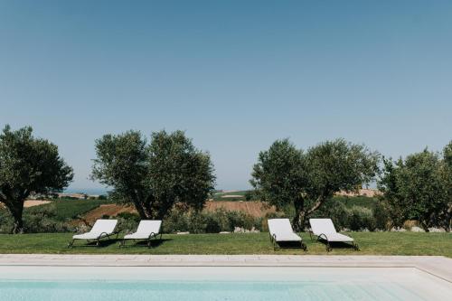 蒙泰内罗迪比萨恰L'Ulivo Bianco的一组白色躺椅,位于游泳池旁