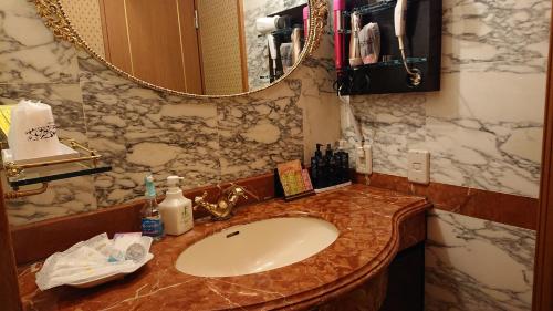 川口市Hotel Zips (Adult Only)的一间带水槽和镜子的浴室