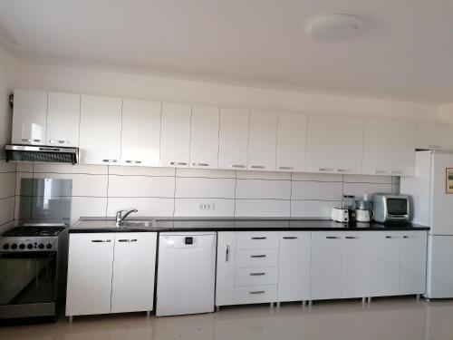 科斯蒂内什蒂Azamara的厨房配有白色橱柜、水槽和冰箱。