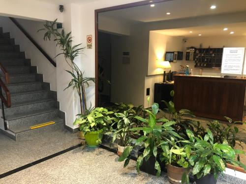 布宜诺斯艾利斯圣卡洛斯酒店的大堂有一堆盆栽植物和楼梯