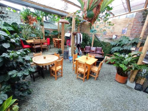 菲兰迪亚Bidea Backpackers Hostel的一间设有桌椅的餐厅,种植了植物