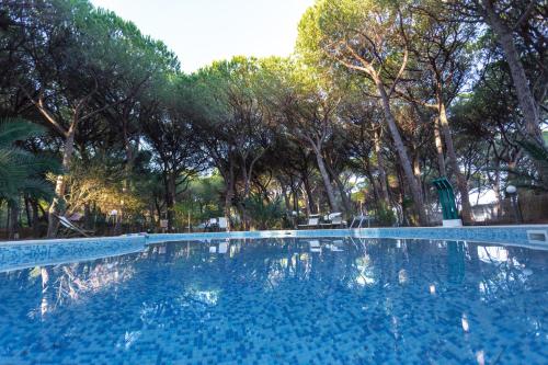 格罗塞托港太阳村露营地的一座绿树成荫的蓝色游泳池