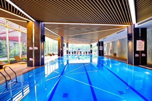 青浦上海夏阳湖皇冠假日酒店 的大楼内的一个蓝色海水游泳池