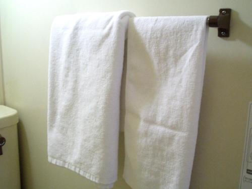 东京Sky Heart Hotel Koiwa的浴室毛巾架上挂着两条毛巾