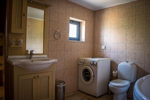 赫索尼索斯尼瑞德斯别墅的一间带洗衣机和水槽的浴室
