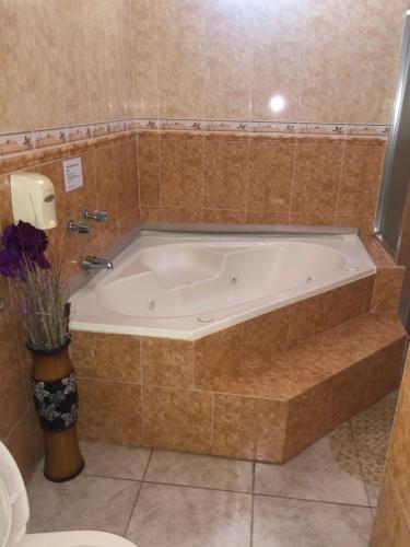 巴拿马城Residencial Alameda的带浴缸的浴室和卫生间
