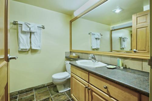 惠斯勒Mountainside Lodge的一间带水槽、卫生间和镜子的浴室