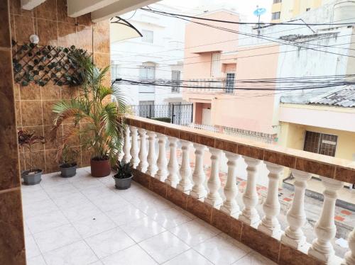 里奥阿查Apartamentos Riohacha的种植盆栽植物的建筑的阳台