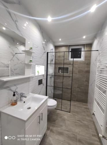 Dubrave GornjeApartments Airport Inn的一间带水槽、卫生间和淋浴的浴室