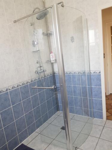 奥弗涅库尔农chez houria的浴室设有蓝色瓷砖淋浴。