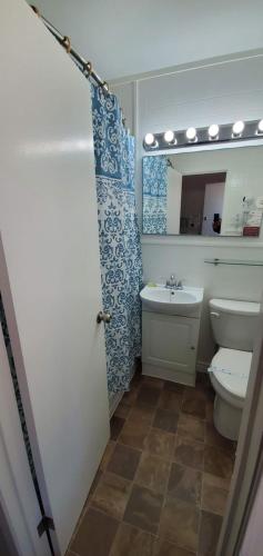 Barrys BayPinewood Inn的一间带卫生间、水槽和镜子的浴室
