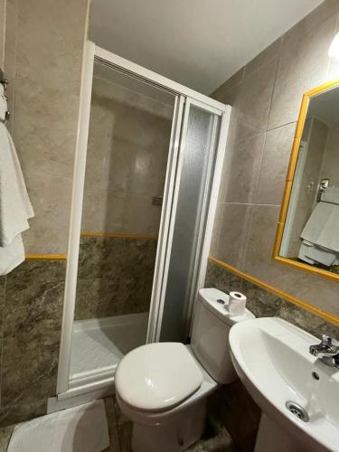 阿尔甘达·德尔·雷伊H Arkanta的带淋浴、卫生间和盥洗盆的浴室