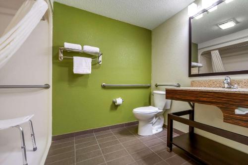 格兰德岛Sleep Inn By Choice Hotels的一间带卫生间、水槽和镜子的浴室
