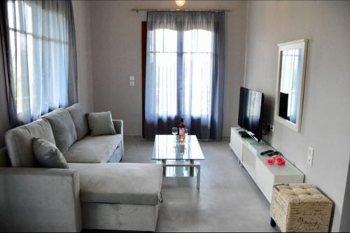 卡拉米锡Sea Breeze Apartments - n.1 with private pool的带沙发和电视的客厅
