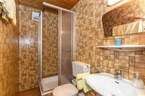 布鲁克安德格罗斯哥Ferienhaus Alpenrose的带淋浴、盥洗盆和卫生间的浴室