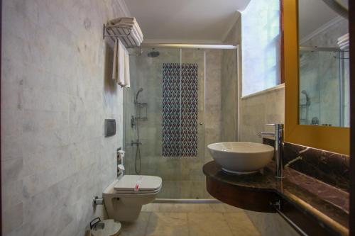 安塔利亚Alp Pasa Hotel - Special Class的一间带水槽、卫生间和淋浴的浴室