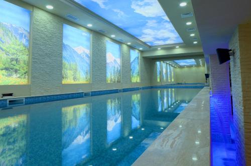 杜普尼察里拉酒店的山景游泳池