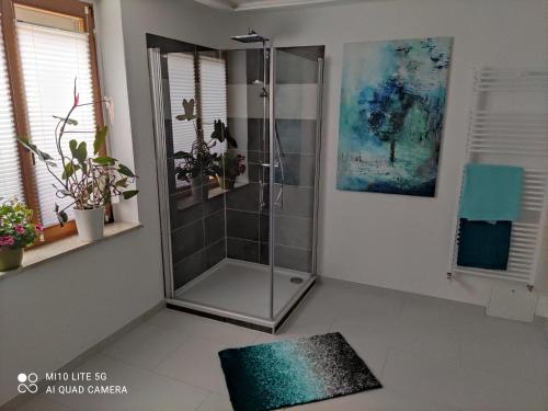 卡劳特格瑞斯赫Gohrisch Hartmann的一间铺有地毯的带淋浴的浴室