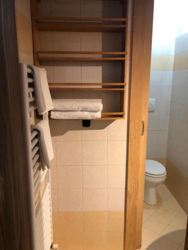 米苏丽娜Appartamenti Sorapiss的一间带卫生间和毛巾的小浴室