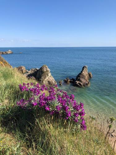 圣纳泽尔Villa Aziliz - Face Mer的海边小山上的紫色花朵