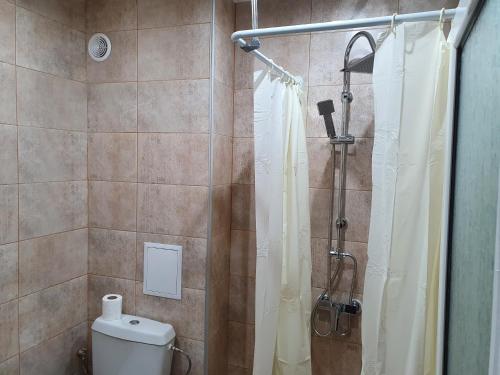 布尔加斯Family Hotel Lazuren Briag的带淋浴、卫生间和浴帘的浴室