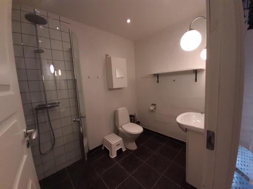 锡尔克堡LatterLy Rooms的浴室配有卫生间、盥洗盆和淋浴。