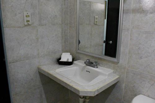 梅里达埃尔熙德酒店的一间带水槽和镜子的浴室