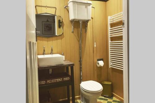朗梅尔福德Melford Allotment Shed-Vintage Lodge Suffolk的一间带卫生间和水槽的浴室