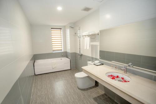 宁平MOMALI Hotel Ninh Binh的一间带水槽、卫生间和镜子的浴室