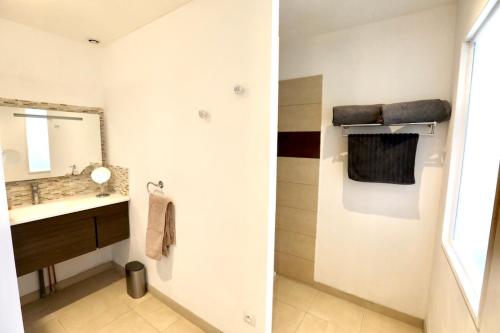 TullinsLe Domaine Loft - Piscine - Jacuzzi - Parc的一间带水槽和镜子的浴室