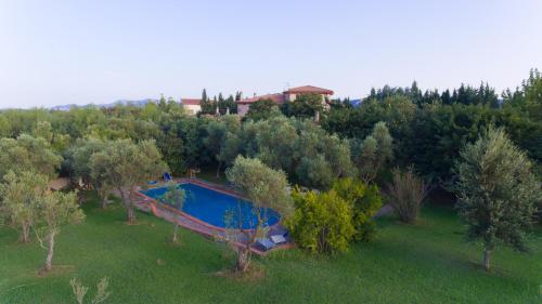 伊格莱西亚斯Casa vacanze Maria Maddalena 1 Iglesias的森林中游泳池的空中景观