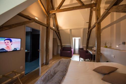 阿列河畔美岸Château du Bost - Teritoria的一间卧室配有一张床,墙上配有电视