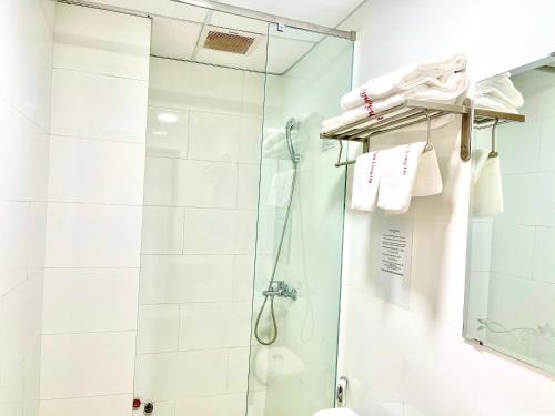 芹苴Khách sạn Long Hà的带淋浴的浴室和玻璃门