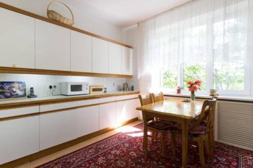 Guest House On Maksimova 9的厨房或小厨房