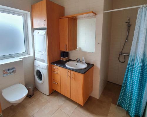 阿克雷里赛罗哈斯公寓及小屋酒店的一间带水槽和洗衣机的小浴室