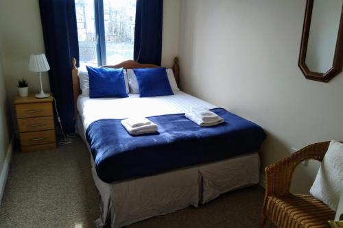 都柏林2 Bedroom Apartment Beside Merrion Square的一间卧室配有一张带蓝色枕头的床和一扇窗户。