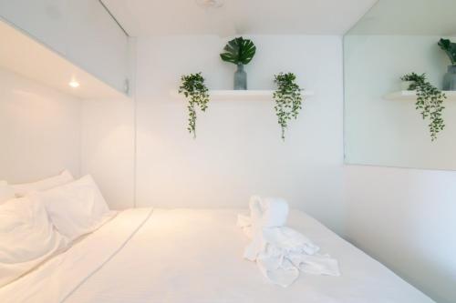 悉尼Bright 1 Bedroom Studio with Amazing City Views的白色的房间,墙上挂着植物,配有一张床