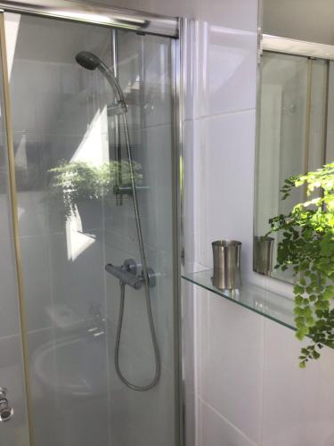 哈罗盖特孔弗伦斯家庭式旅馆的浴室内配有淋浴和头顶淋浴