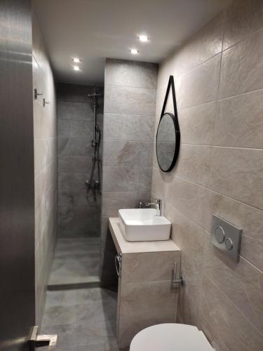 迈萨纳Stefani apartments的一间带水槽、卫生间和镜子的浴室
