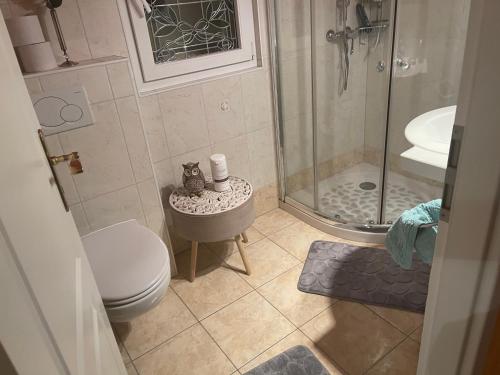SaxonSuite hôtelière au cœur du Valais的带淋浴、卫生间和盥洗盆的浴室