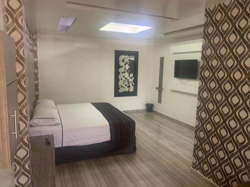 圣胡安德里奥Motel Pedregal Suites的一间卧室配有一张床和一台电视