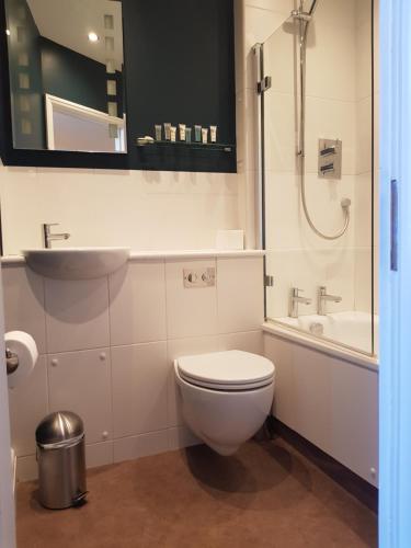 海华德希思石灰公寓 的浴室配有卫生间、淋浴和盥洗盆。