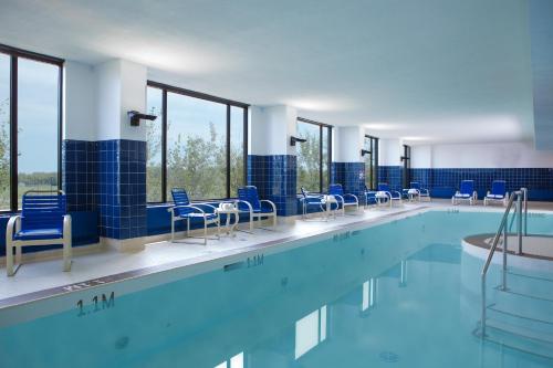 埃德蒙顿克里河赌场度假村的一个带蓝色椅子和蓝色瓷砖的游泳池