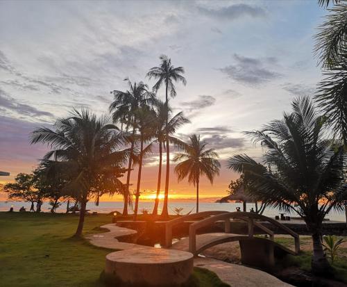 象岛象岛白兰海滩度假酒店的棕榈树和小径海滩上的日落