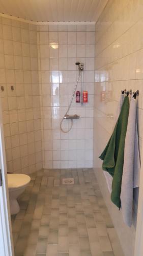 奥卢Apartment with garden and teracce的带淋浴、卫生间和绿毛巾的浴室